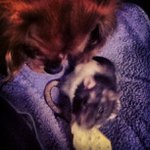 Profile Picture of Dennis Carey (@readerboxmc) on Instagram