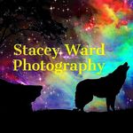 Profile Picture of Stacey Ward Photography (@staceywardphotography) on Instagram