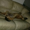 Profile Picture of ziastubbs (@@bobstubbs) on Tiktok