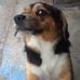 Profile Picture of Brian Gonyea (@Brian-Gonyea) on Facebook
