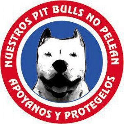 Profile Picture of Adalberto Ojeda Marm (@OjedaMarm) on Twitter