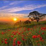 Profile Picture of melanie schweizer (@sonnenaufgang__1) on Instagram