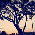 Profile Picture of isaac zepeda (@zepeda9169) on Instagram