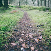 Profile Picture of Travis Perez (@travisperez4965) on Youtube