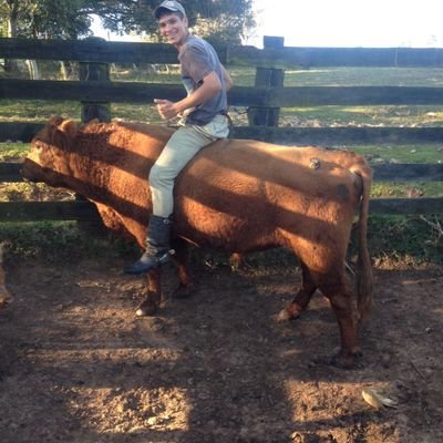 Profile Picture of Patrick Kreps Pereira (@KrepsPatrick) on Twitter