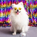 Profile Picture of Kevin El Tailandes 🇹🇭 (@kevin.ignacio.pom) on Instagram