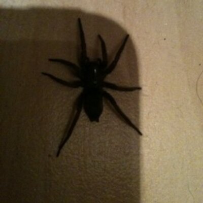 Profile Picture of Scott Fairbairn (@currysquirt) on Twitter