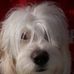 Profile Picture of Hal Alpiar (@hal.alpiar) on Facebook