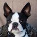 Profile Picture of Yvonne Vermaat-Loosman (@yvi1717) on Pinterest
