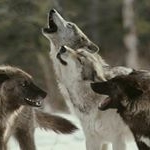 Profile Picture of Peyton Joseph Zeigler (@pjgames297) on Instagram