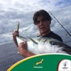 Profile Picture of Brad Dreyer (@braddreyerr) on Tiktok