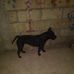 Profile Picture of Kevin Olivares (@kevin.olivares.988926) on Facebook