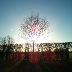 Aoife Egan - Twitter Profile Picture of Aoife Egan (@AoifeDineen3) on Twitter