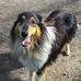 Profile Picture of Marilyn Mcvicker (@marilyn.mcvicker.7) on Facebook