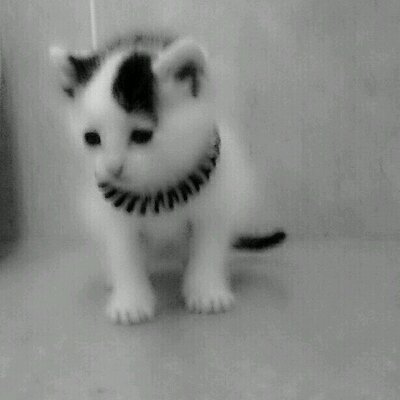 Profile Picture of Pablo Berrocal (@PaaBLoOH_BC) on Twitter