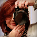Profile Picture of Dawn  Hamm (@Dawn Hamm Photography) on Flickr