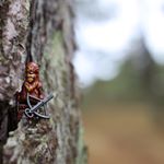 robertgarside - Instagram Profile Picture of robertgarside (@robertgarside) on Instagram