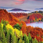 Profile Picture of Daniel Fider (@_daniel_fedor_) on Instagram