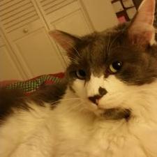 Profile Picture of Aaron Cummings (@acumm12715) on Twitter