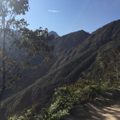 Profile Picture of Simon Glynn (@@sigly503) on Twitter