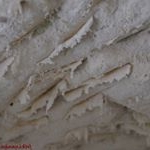 Profile Picture of Cory (@coryadriannazsd) on Instagram