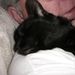 Profile Picture of Steven Batten (@stevenbatten) on Pinterest