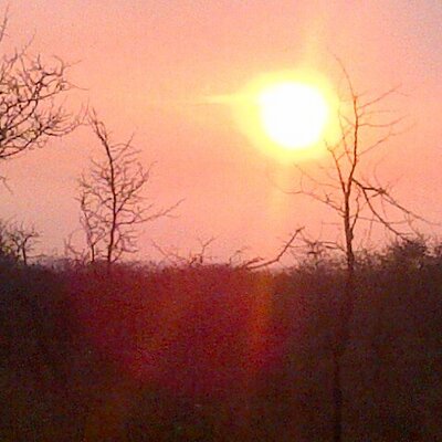 Profile Picture of Chris Pretorius (@pretoriusc3) on Twitter