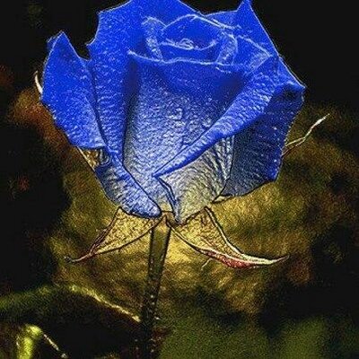Profile Picture of Deborah Manrique (@deybys76) on Twitter