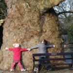 Peter Mercier - Instagram Profile Picture of Peter Mercier (@peter_mercier) on Instagram