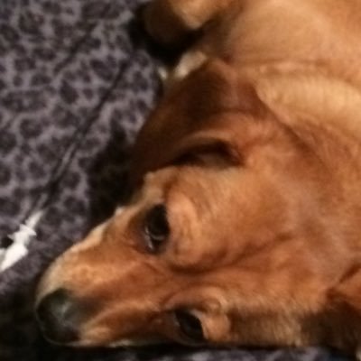 Profile Picture of Tanner Scott Kish (@xxyolo_bro) on Twitter