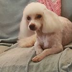 Profile Picture of Albert Uribe (@alberturibe69) on Instagram