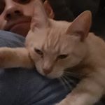 Gil Feliciano - Instagram Profile Picture of Gil Feliciano (@mr__gil) on Instagram