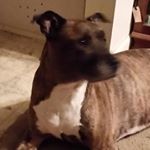 Profile Picture of Sherry Steele (@sherry.steele.5) on Instagram