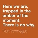 Profile Picture of Stephen Novick (@stevie007k) on Instagram