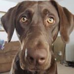 Profile Picture of Andrea McMillian Mainguy (@andreamainguy) on Instagram