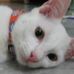 Profile Picture of Makan Best (@makan.best.5) on Facebook
