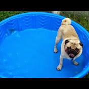 Profile Picture of Blair Campbell (@BlairJCampbell) on Youtube