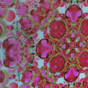 Profile Picture of Miriam Schoemakers (@miriamschoemakers8101) on Youtube