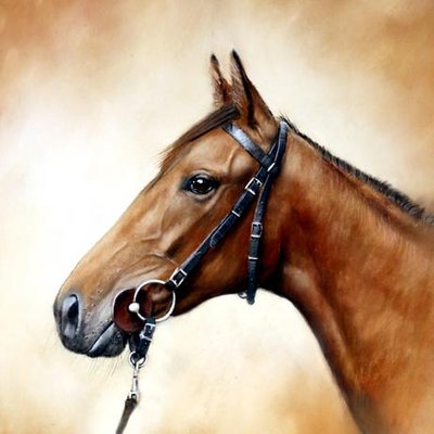 Profile Picture of Brian Halton (@beaconsfield3) on Twitter