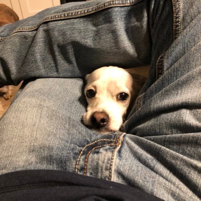 Profile Picture of Scott Coffey (@Tx30cal) on Twitter