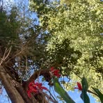 Profile Picture of Lucia Cid (@Lucia-Cid) on Facebook