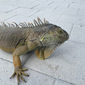 Profile Picture of Dominic Palmer (@DominicPalmer-ts7ii) on Youtube