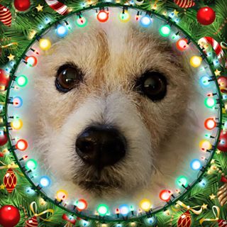 Profile Picture of Janet Pfeffer Swanson Kobler (@janet.pfefferswansonkobler) on Facebook