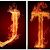 Profile Picture of John Capperella (@capperellaj23) on Pinterest