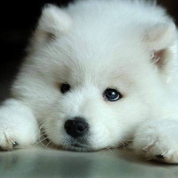 Peter Maldonado - Poshmark Profile Picture of Peter Maldonado (@petermaldonu) on Poshmark