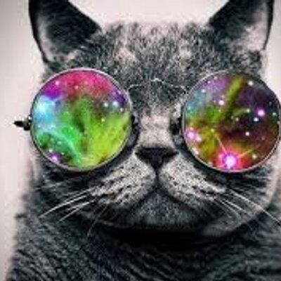 Profile Picture of Alexandra Bogdan (@AlexandraMellar) on Twitter