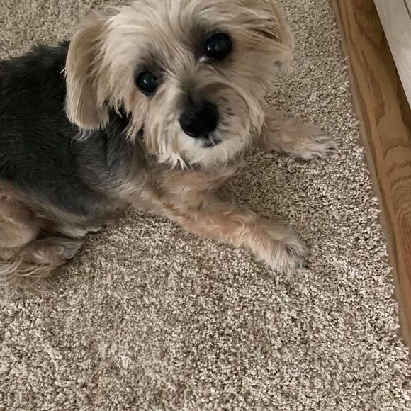 Profile Picture of Brenda Neddermeyer-blakley (@brendablakley2) on Poshmark