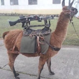 Profile Picture of Adam Braaten (@Adam-Braaten) on Facebook