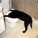 Profile Picture of Tom Horton (@tommy_horts) on Instagram