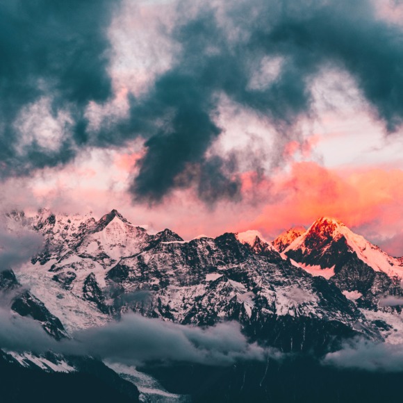 Profile Picture of Kit Wilson (@kitwilson23) on Poshmark